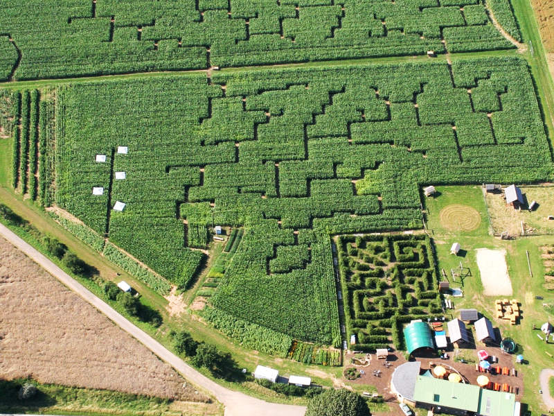 Maislabyrinth am Edersee
